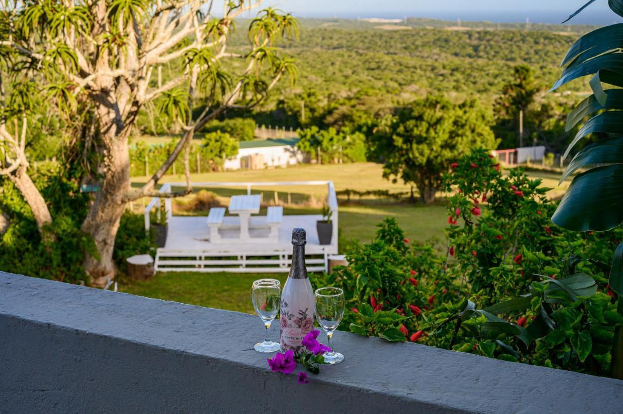 Apartmán 302 On Old Sea View Road Chelsea Port Elizabeth Exteriér fotografie